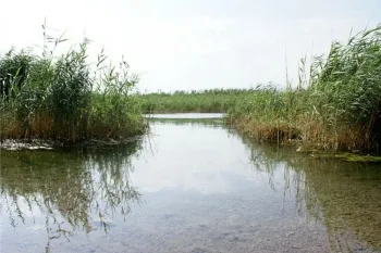سراب ماران؛ بهشت طبیعت گردی در کرمانشاه
