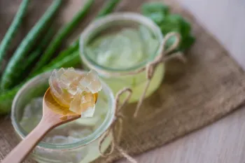 خواص درمانی آلوئه ورا برای معده و سیستم گوارش