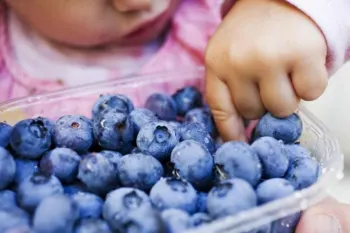از چه سنی میتوان به کودک بلوبری داد؟