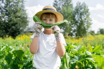 چرا کدو سبز برای کودکان مفید است؟