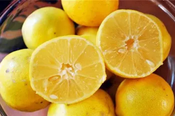 علت تلخی لیمو شیرین و راه های جلوگیری از آن
