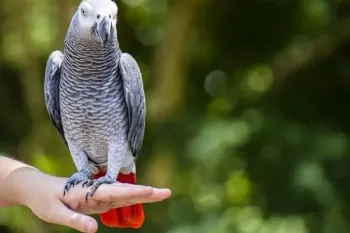 آشنایی با ۸ غذای مناسب کاسکو