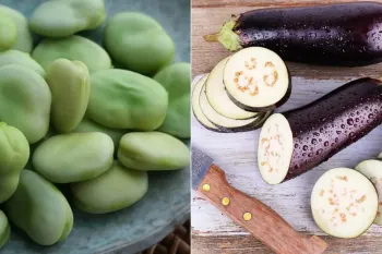 طرز تهیه خوراک باقلا بادمجان؛ غذایی خوشمزه و مقوی