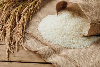 برنج گرده چیست؟ با برنج گرد چه غذاهایی می توان درست کرد؟