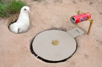 آموزش ساخت تله پرنده با مقوا و قوطی حلبی