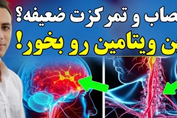 تقویت مغز و افزایش تمرکز: ۸ غذای ضروری برای افراد بالای 40 سال