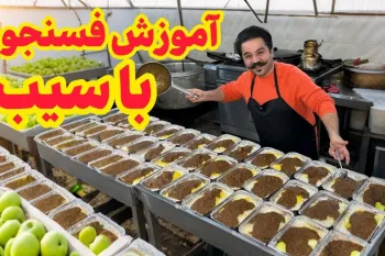 طرز تهیه فسنجون / دستور پخت سریع و ارزان فسنجون با سیب