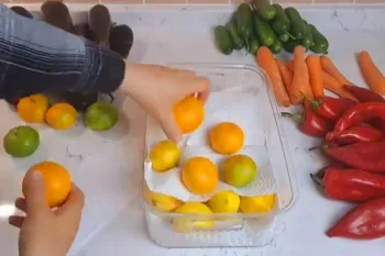 نگهداری میوه و سبزیجات : نحوه تازه نگهداشتن میوه در یخچال به مدت طولانی