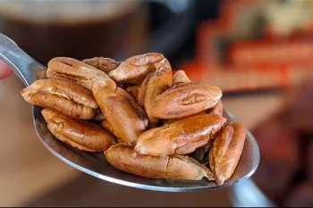 طرز تهیه قهوه هسته خرما بدون کافئین با انرژی ۱۰۰ درصد