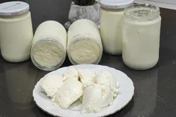 طرز تهیه ماست سفت قالبی / راز ترش نشدن و فاسد نشدن ماست تا ماهها