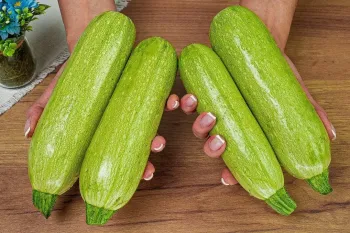 غذا با کدو سبز / دستور پخت ۵ غذای رستورانی با کدو