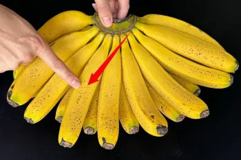 نحوه نگهداری موز / موز را به مدت 1 ماه تازه نگه دارید!
