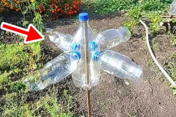 ساخت آسیاب بادی برای دفع پرندگان برای باغ با بطری پلاستیکی