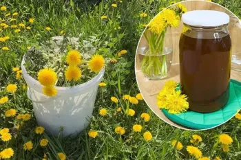 طرز تهیه شربت گل برای درد مفاصل و مشکلات گوارشی