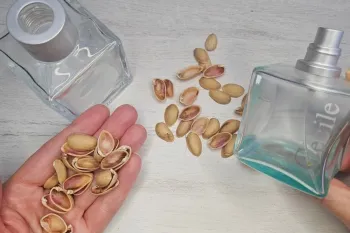 ایده خلاقانه ساخت گلدان های مینیمال با شیشه عطر خالی