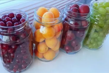 نحوه نگهداری میوه های تابستانه بدون یخ زدگی و فریزر کردن / تا ۱ سال تازه میمانند