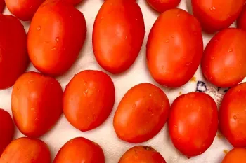 بهترین روش نگهداری از گوجه فرنگی بدون له شدن و کپک زدن / تا ۱ سال تازه میماند