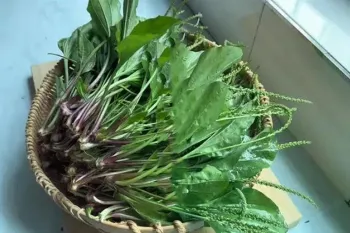 چای خانگی موز / طرز تهیه چای گیاهی