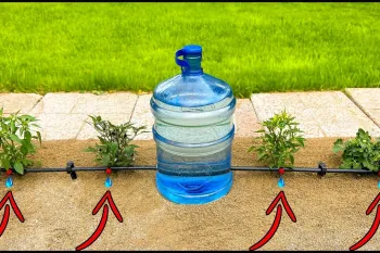 نحوه ساخت سیستم آبیاری قطره ای برای باغ به روشی ارزان