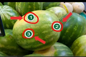 انتخاب هندوانه شیرین / ۳ روش طبیعی برای انتخاب هندوانه قرمز و شیرین