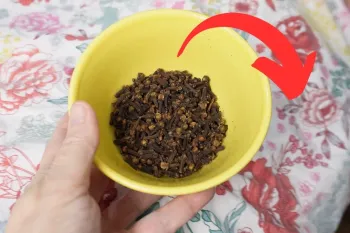 میخک ها را زیر تخت خود قرار دهید / میخک شما را از مشکلات بزرگ دور میکند