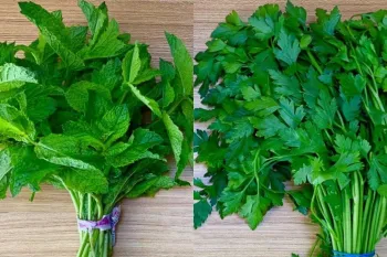 نحوه شستن و تازه نگهداشتن سبزی / تا ماهها سبزی را تازه نگهدارید