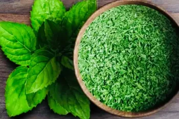 طرز تهیه نعنا خشک خانگی : روش طبعی برای خشک کردن نعنا و راز سیاه نشدن آن