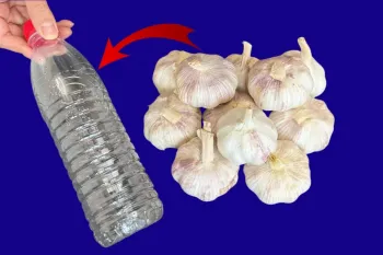 روش طبیعی برای پوست گرفتن سیر / دیگه دستات بو نمیگیره