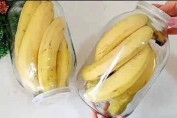 روش نگهداری موز / تا ۲ سال موز خراب نمیشود