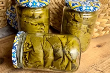 دستور نگهداری از برگ انگور بدون آب و نمک / تا سالها برگ انگور تازه میماند