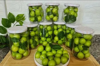 روش طبیعی برای نگهداشتن گوجه سبز / تا ۲ سال گوجه سبز تازه داری
