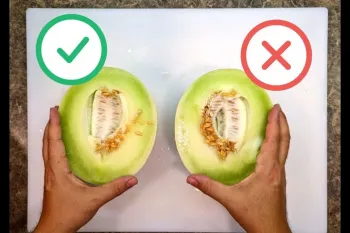 چگونه یک خربزه آبدار شیرین و عسلی را انتخاب کنیم ؟