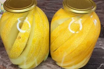 بهترین روش نگهداری از خربزه قاچ شده / بدون تغییر مزه و رنگ