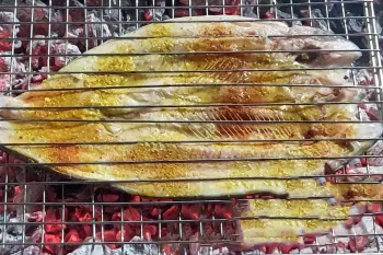 طرز تهیه ماهی کبابی با برنج ایرانی چمپا