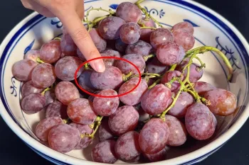 دیگه هرگز انگور نخورید / روش طبیعی برای شستن و از بین بردن سم روی انگور