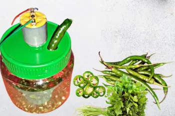 طرز تهیه دستگاه برش فلفل سبز و سبزیجات در خانه