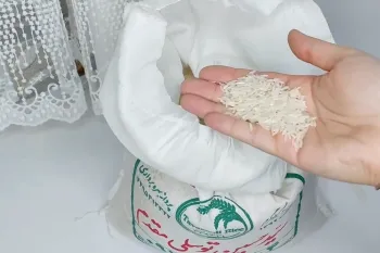 روش طبیعی برای نگهداری برنج ایرانی / تا سالها برنج سالم میماند و شپشک نمیزند