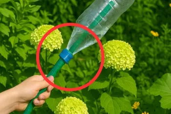 نحوه آبیاری باغچه و گیاهان با ۱ عدد بطری پلاستیکی