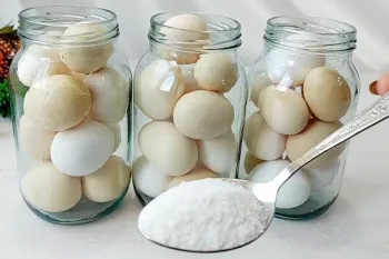 روش طبیعی برای نگهداری از تخم مرغ بدون یخچال / تا ۱ سال فاسد نمی شود