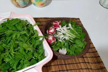 بهترین روش شستن و ضدعفونی کردن سبزی خوردن / تا ماهها سبزی را تازه نگهدار