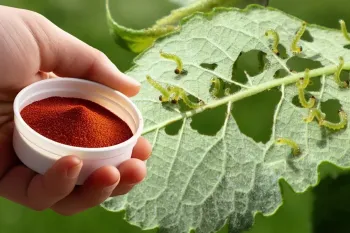 روشی طبیعی برای از بین بردن آفت و شته های گیاهان