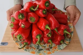 دیگه فلفل قرمز را خشک نکن / طرز تهیه غذایی ساده و خوشمزه فقط با فلفل
