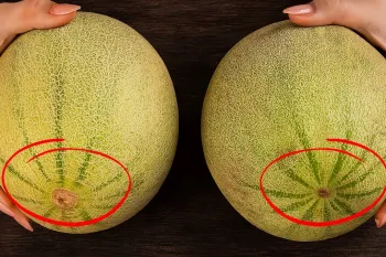 روشی ساده و طبیعی برای انتخاب طالبی شیرین و آبدار