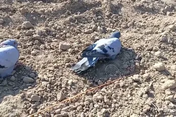 ساخت تله کبوتر وحشی با نخ و قلاب