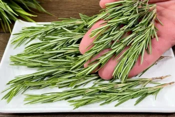 طرز تهیه غذایی خوشمزه و مجلسی با رزماری / افراد کمی رزماری را به این روش تهیه می کنند!