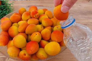 زردآلو را در بطری بگذارید / تا سالها میوه طبیعی و تازه خواهید داشت