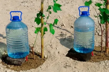 آموزش ساخت ساده سیستم آبیاری قطره ای با بطری پلاستیکی