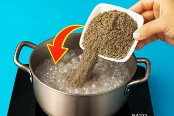 سیمان را بجوشانید : نحوه ساخت مخلوطی شگفت انگیز در خانه