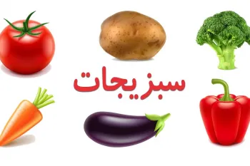 آموزش کامل نام سبزیحات به زبان انگلیسی