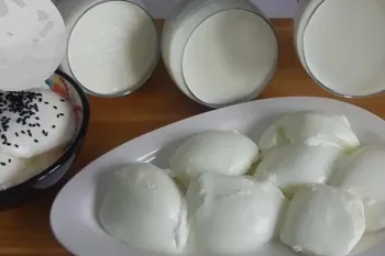 طرز تهیه ماست سفت قالبی / راز ماست سفت و خوشمزه که قاشق توش گیر می کنه